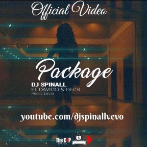DJ_SPINALL_-_Package